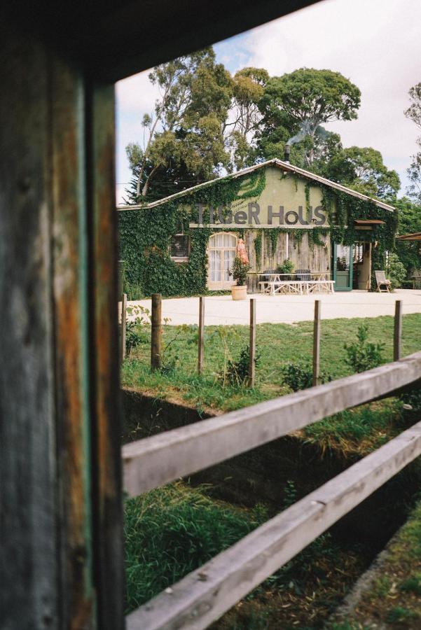 Converted Barn - Tiger House Hermitage Хейвлок Норт Екстериор снимка