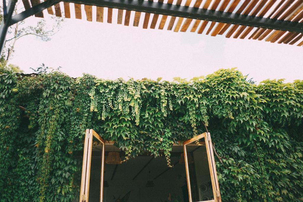 Converted Barn - Tiger House Hermitage Хейвлок Норт Екстериор снимка